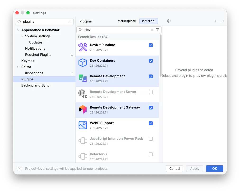 PhpStorm-Plugins für Dev-Container